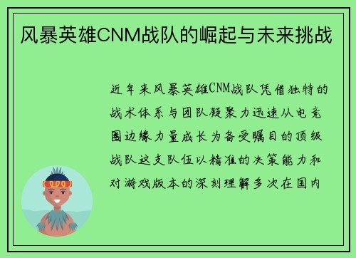 风暴英雄CNM战队的崛起与未来挑战