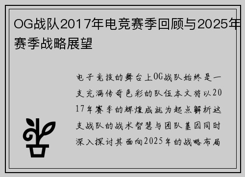 OG战队2017年电竞赛季回顾与2025年赛季战略展望